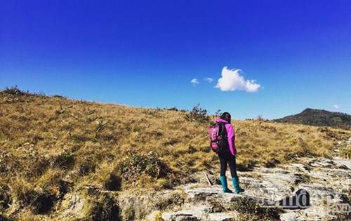 Cảnh quan leo núi Lảo Thẩn qua đồi trọc Đường trekking leo núi Lảo Thẩn qua rừng thưa