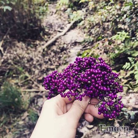 Khung cảnh thiên nhiên leo núi Lảo Thẩn Cung đường trekking Lảo Thẩn Lào Cai
