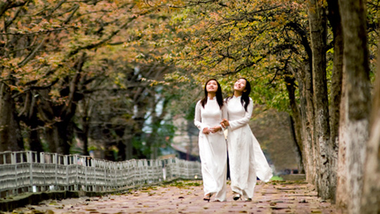 Kinh nghiệm du lịch Hà Nội ngắm sắc thu vàng quyến rũ