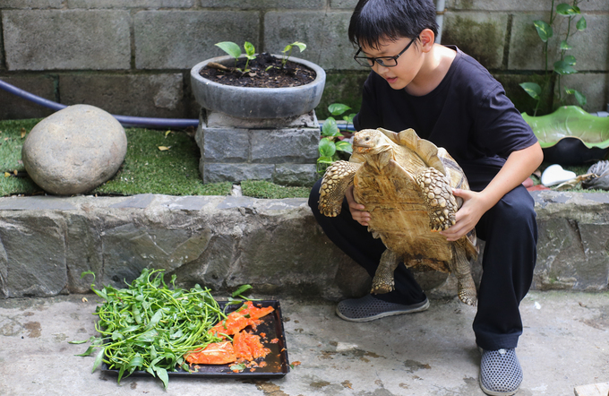 Con rùa Sulcata 14 năm tuổi, có nguồn gốc từ châu Phi bò tự do trong quán khiến nhiều người thích thú. Theo chủ quán, chi phí nuôi tất cả con vật là khoảng 15 triệu đồng mỗi tháng. Giá đồ uống trong quán dao động 30.000 - 80.000 đồng.