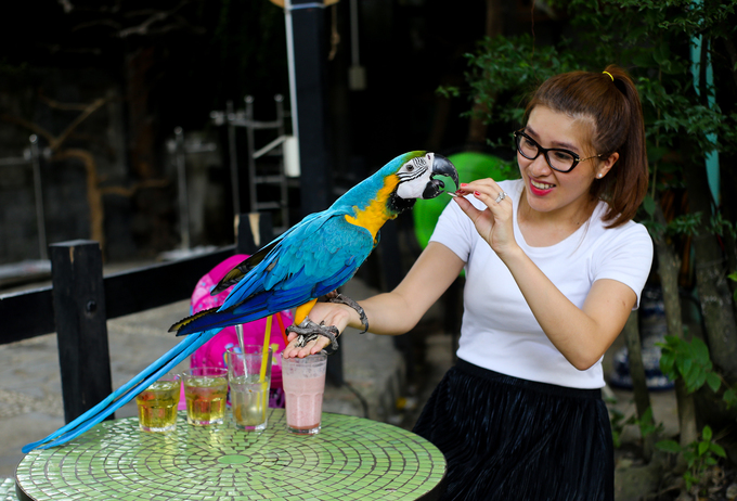 Vào dịp cuối tuần, quán khá đông khách, nhiều gia đình mang theo con nhỏ đến chơi với vẹt.