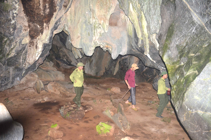 Hang Dơi. Ảnh: Báo Quảng Ninh