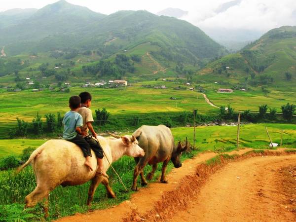 Bãi đá cổ thung lũng Mường Hoa du lịch Sapa