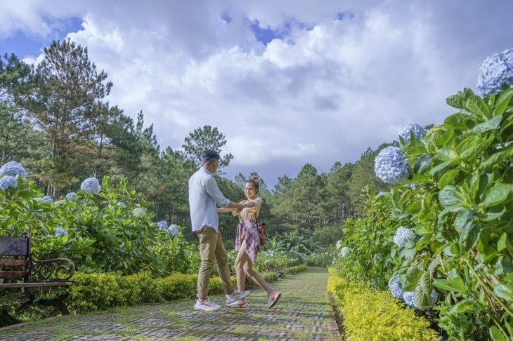 Vườn hoa Cẩm Tú Cầu Thung lũng tình yêu
