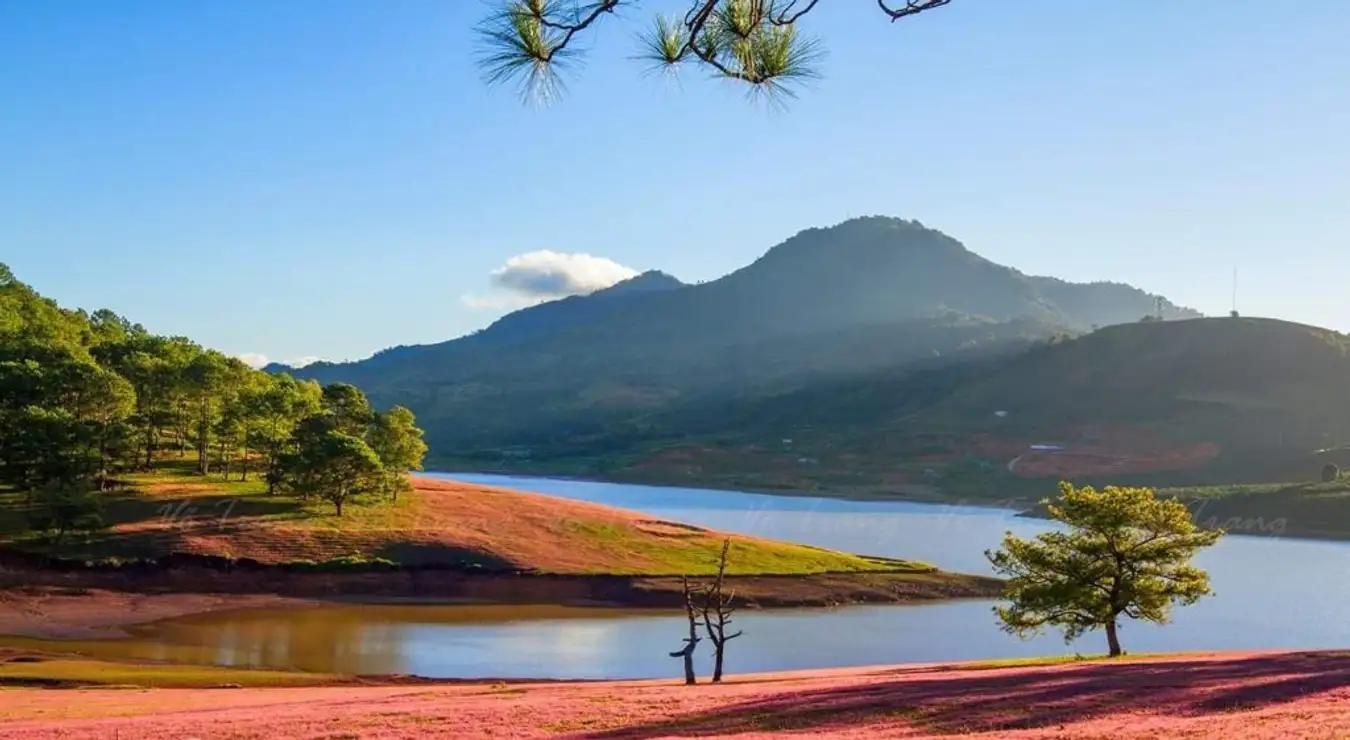 Hồ Đan Kia. Ảnh: Báo Thanh niên
