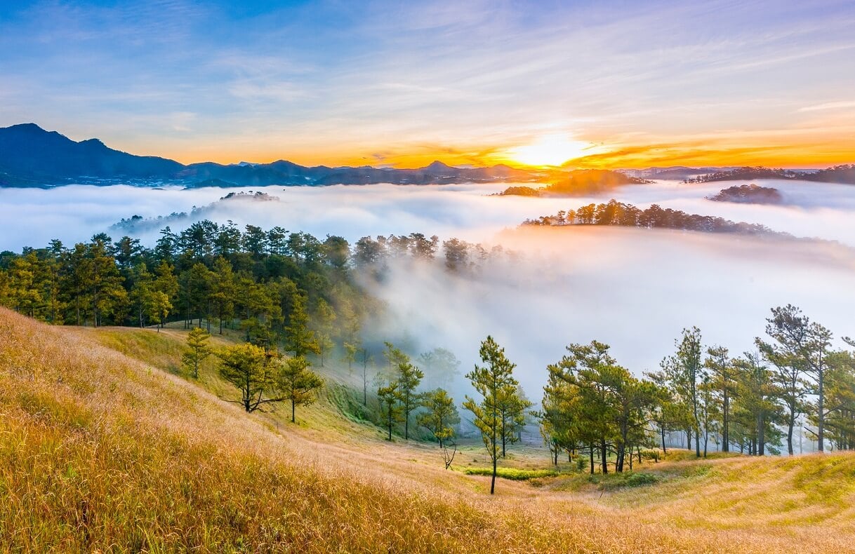 Thung Lũng Vàng Đà Lạt – chốn thơ mộng giữa lòng cao nguyên