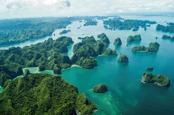 Ảnh: vietnamnet.vn
