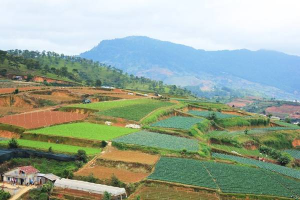 Du lịch Đà Lạt thưởng ngoạn phong cảnh núi rừng cao nguyên Du lịch Đà Lạt thưởng ngoạn phong cảnh núi rừng cao nguyên