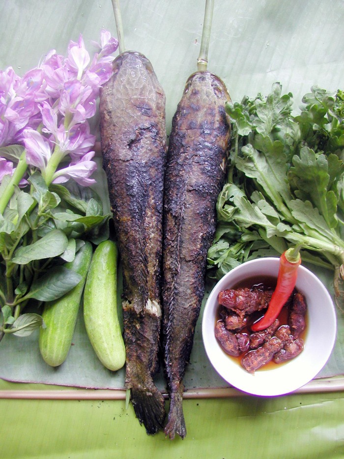 Cá lóc đồng nướng trui - một trong những món ăn dân dã của người dân miền Tây, đặc biệt ở Hậu Giang