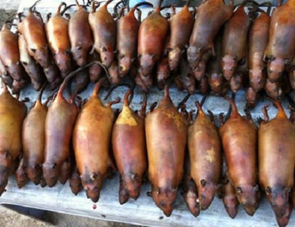 Thịt chuột - đặc sản Hà Giang của người La Chí