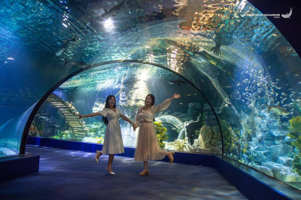 Thủy cung Lotte World Hà Nội sinh vật biển