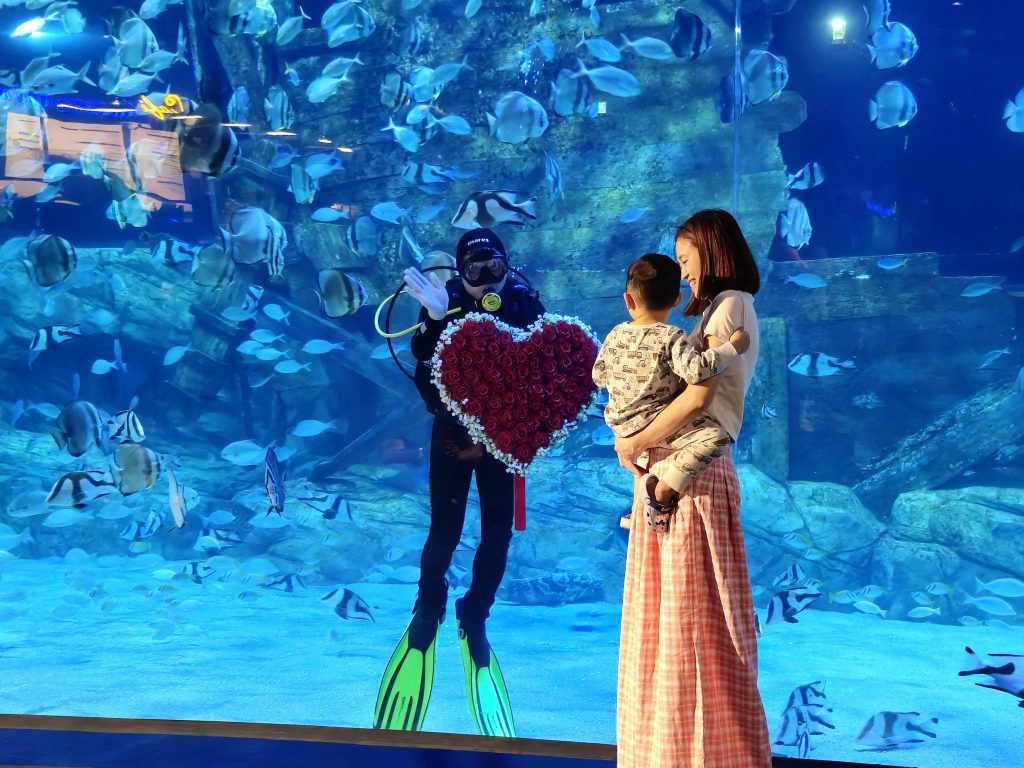 Thủy cung Lotte World Hà Nội sinh vật