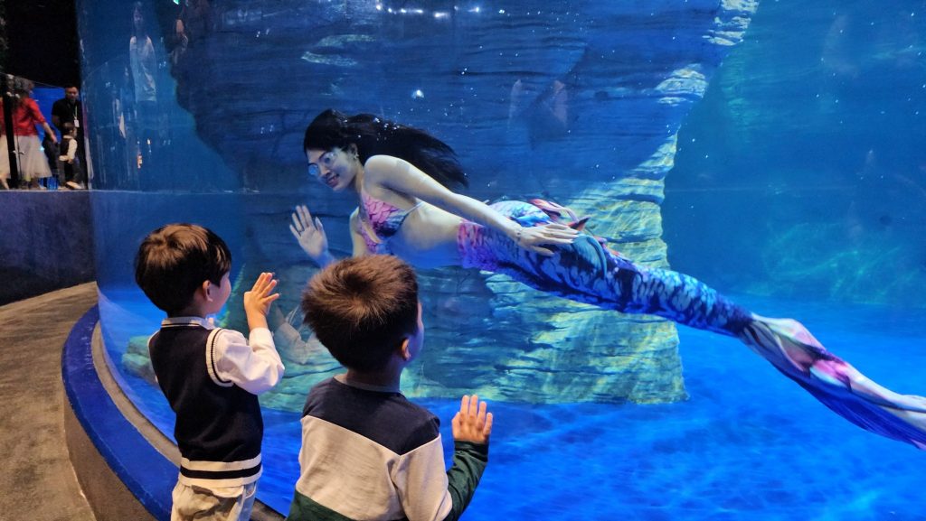 Thủy cung Lotte World Hà Nội biểu diễn