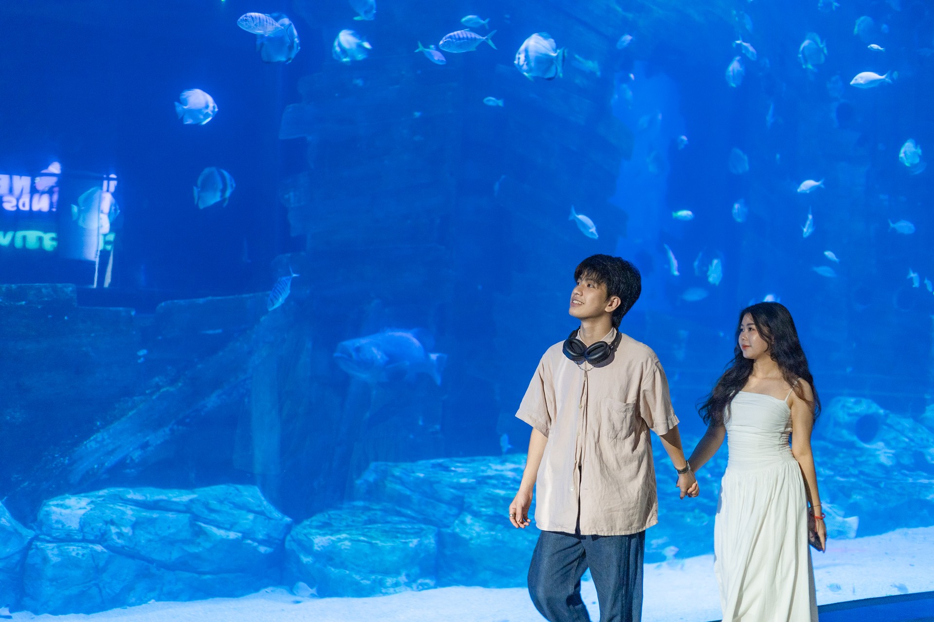 Thủy cung Lotte World Hà Nội – thủy cung trong nhà lớn nhất Thủ đô