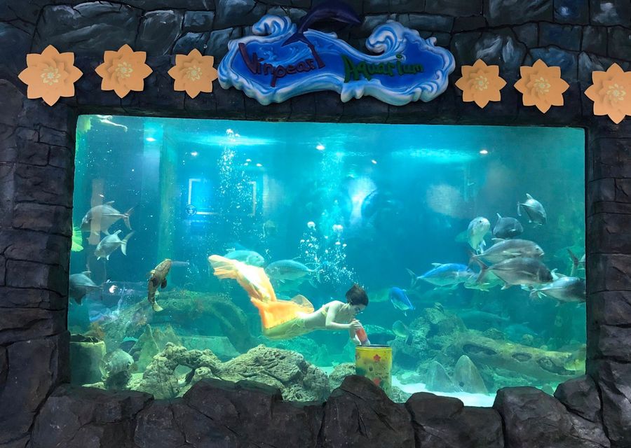 Show diễn Nàng tiên cá tại thủy cung Vinpearl Times City