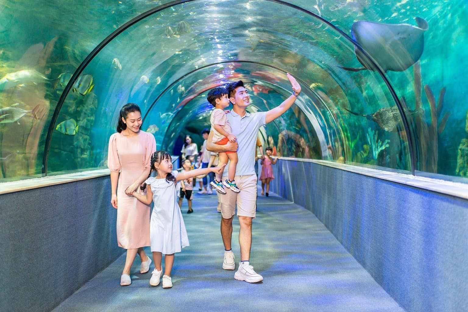 VinKE & Thủy cung Vinpearl Times City – Điểm đến giáo dục và giải trí sinh động tại Hà Nội