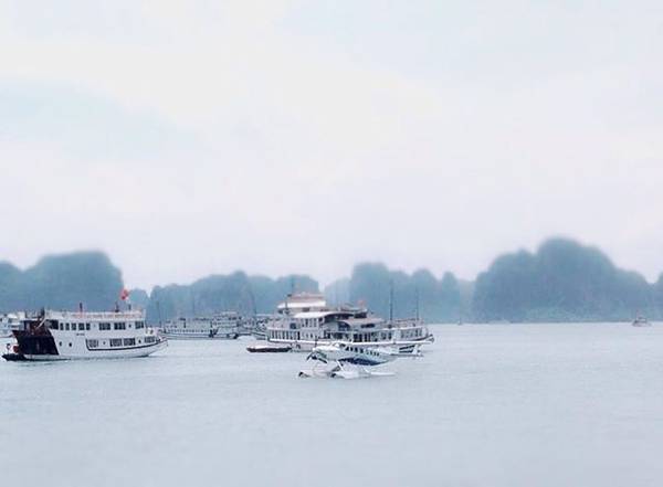 du lịch Vịnh Hạ Long