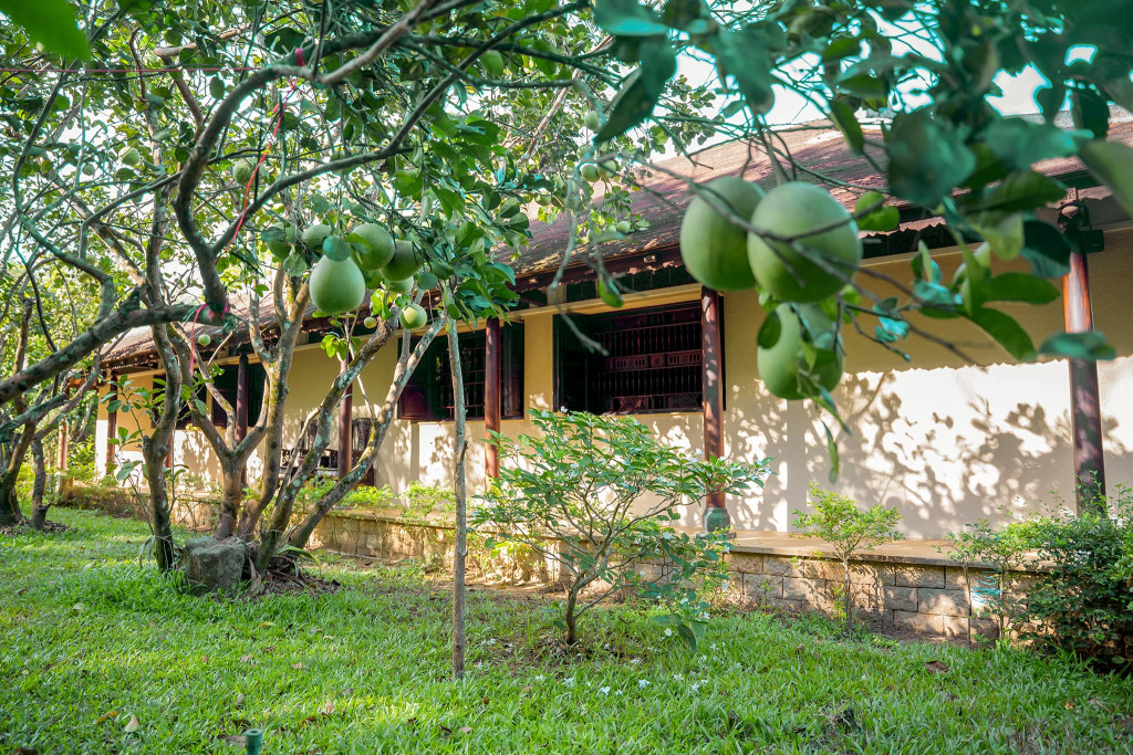Vườn thanh trà organic tại Tịnh cư Cát Tường Quân