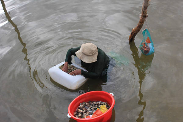 Làng chài Hàm Ninh Phú Quốc