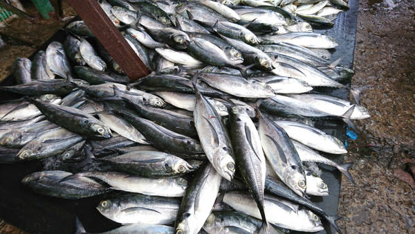 Chợ Dương Đông Phú Quốc