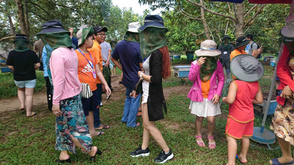 Trại ong Phú Quốc