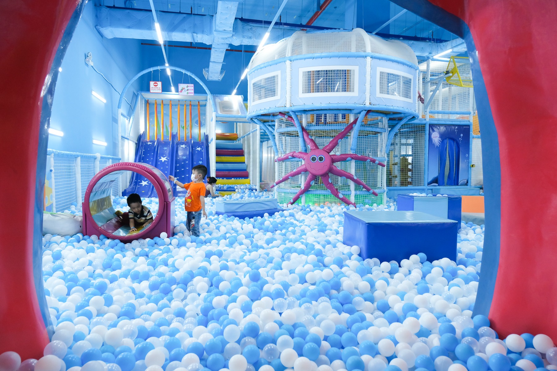 Ảnh: tiniworld.