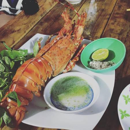 Tôm hùm tại hòn đảo tôm hùm Phú Quý