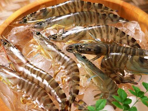 Mỗi một vùng chọn một loại tôm khác nhau nhưng loại được yêu thích nhất để làm nên món ăn độc đáo này là tôm he. Đây là loại tôm có quanh năm nhưng tháng 9 là thời điểm tôm ngon nhất với lớp vỏ cứng vừa phải, thịt chắc và ngọt với giá bán cao hơn rất nhiều so với bình thường. Tôm được làm sạch, sau đó cắt bỏ bớt càng và phần râu dài. Thay vì chế biến theo cách thông thường, người ta lại thả tôm còn sống vào một bát lớn hoặc nồi đất rồi tưới rượu mạnh (khoảng 50 độ) trực tiếp vào thân tôm. Ảnh: Fish123.