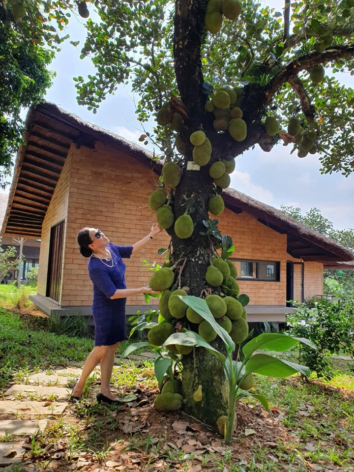 Không gian xanh tại Tomodachi Retreat Làng Mít