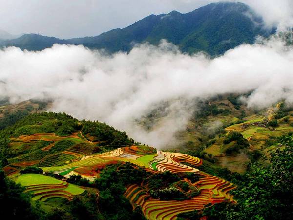 Sapa điểm đến du lịch 30/4 với ruộng bậc thang