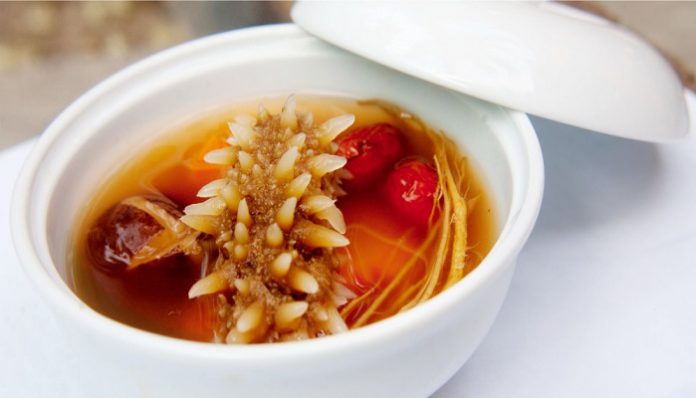 Hải sâm món ngon Phú Quốc