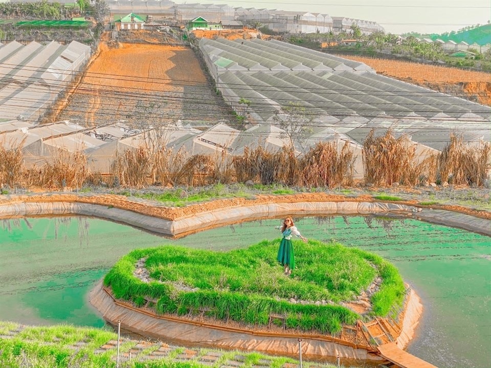 Đồi Vô Ảnh Đà Lạt