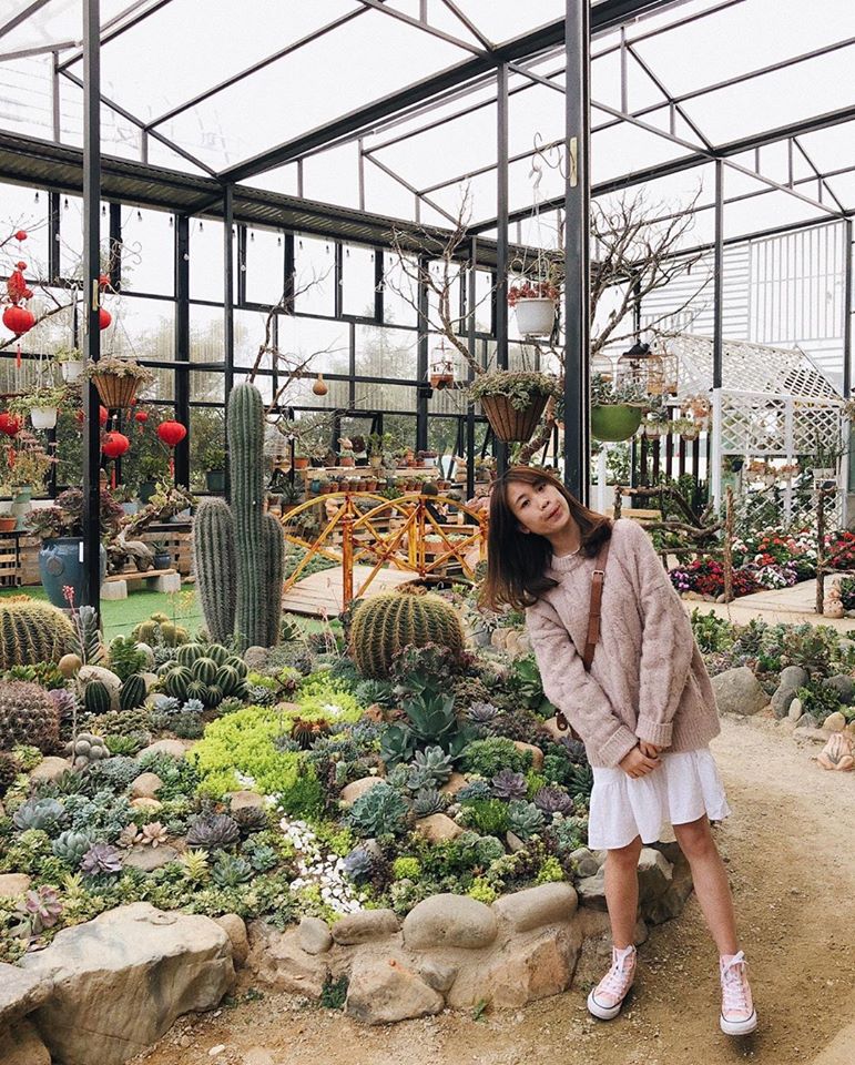 Vườn Sen Succulents Coffee Đà Lạt