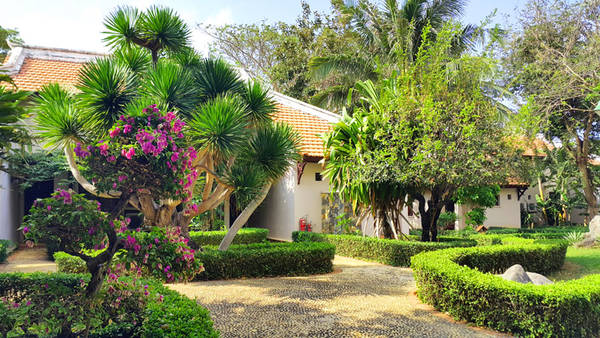 Long Hải Beach Resort không gian hồ bơi