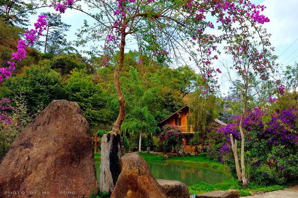 Khung cảnh lãng mạn tại Ma Rừng Lữ Quán Đà Lạt