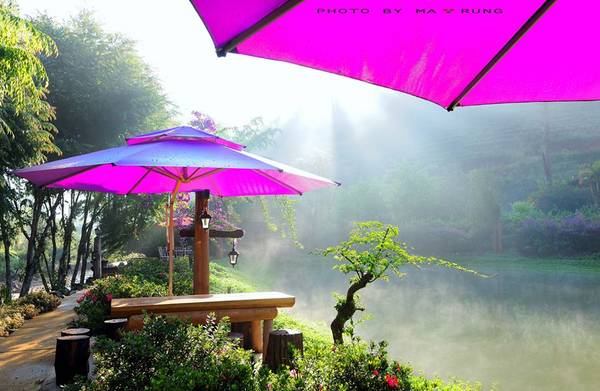 Ngôi nhà tím bên hồ tại Ma Rừng Lữ Quán Đà Lạt