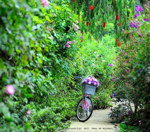 top-5-quan-cafe-cuc-chat-ban-nhat-dinh-phai-ghe-khi-du-lich-da-lat-ivivu-15 top-5-quan-cafe-cuc-chat-ban-nhat-dinh-phai-ghe-khi-du-lich-da-lat-ivivu-15