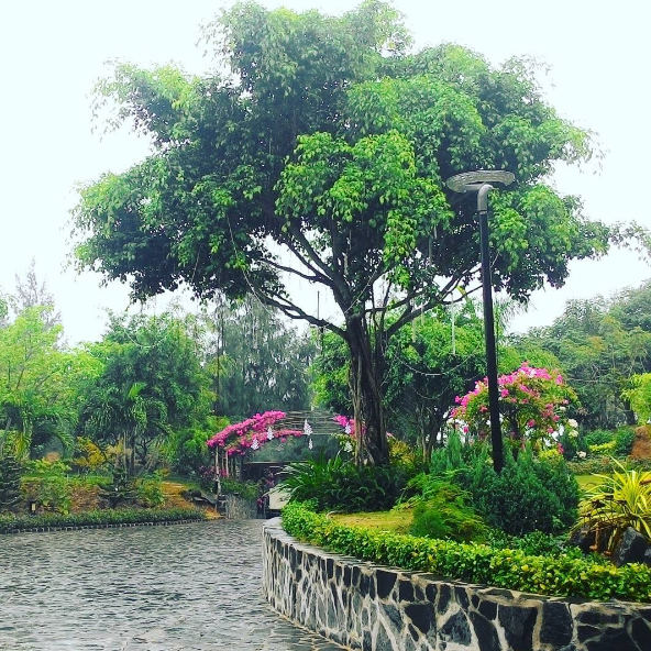 Bãi biển Carmelina Hồ Tràm