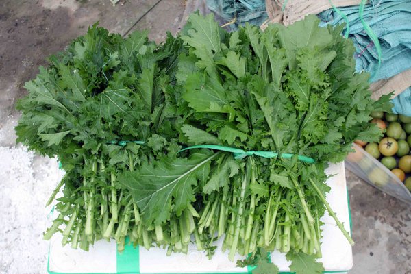 Rau cải mèo đặc sản Sapa