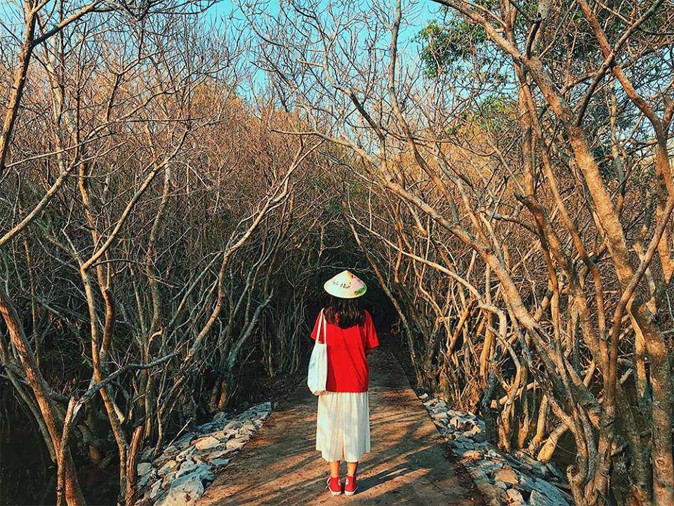 Miếu thờ Rú Chá - địa điểm check in Huế