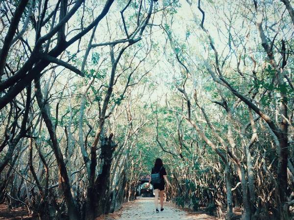 Ảnh: vo_thao_tsu