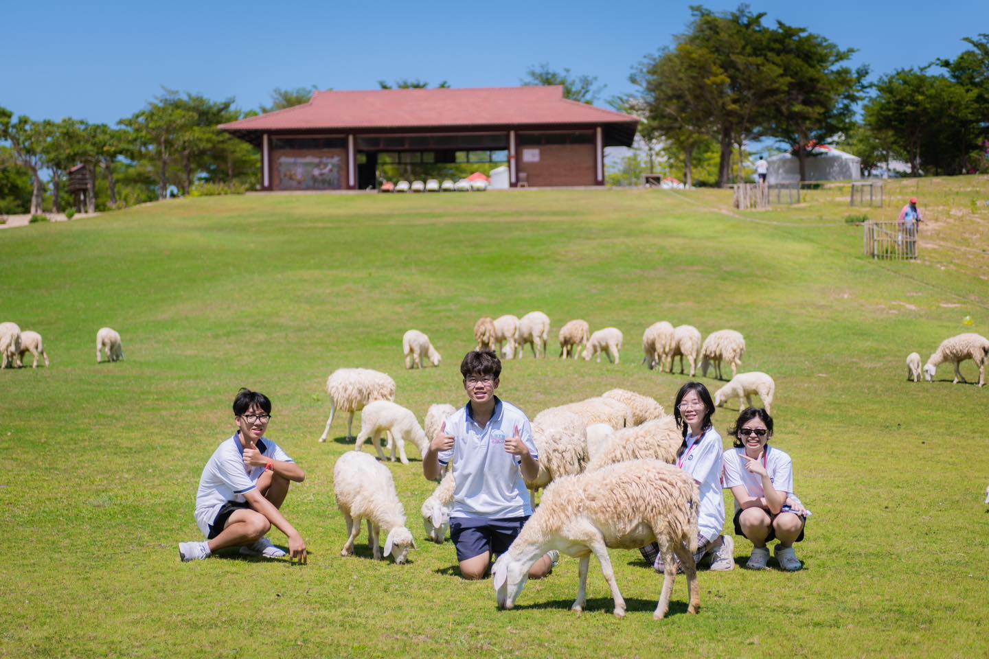 Hoạt động team building ngoài trời Tour Tứ Bình 3N3Đ