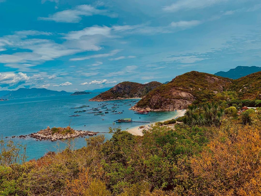 Trải nghiệm tour Bình Ba lặn ngắm san hô cực đẹp