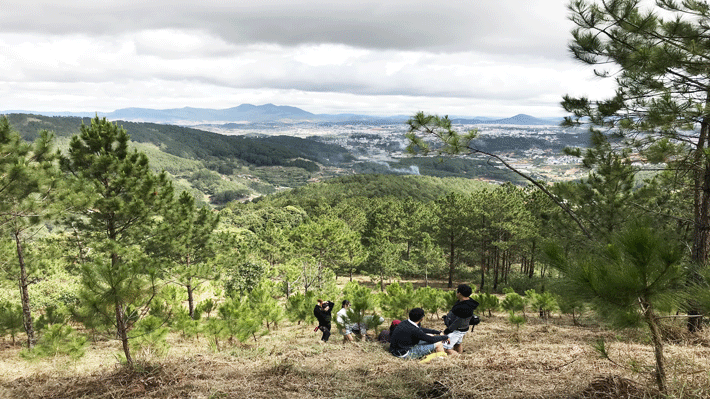 tour-da-lat-ivivu-2