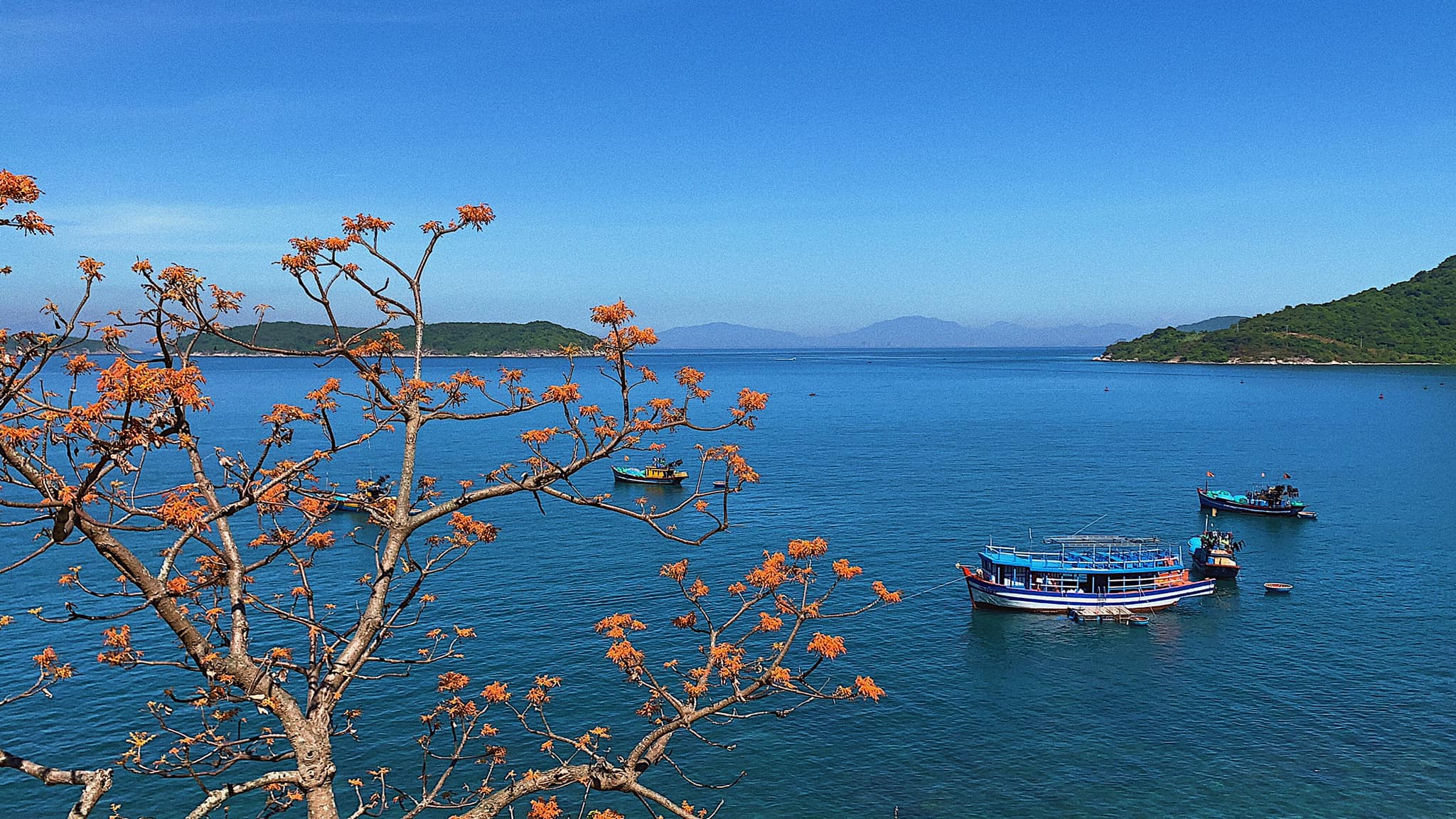 tour Đà Nẵng