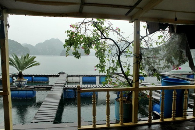 Ảnh: Băng Giang/ Tuổi Trẻ