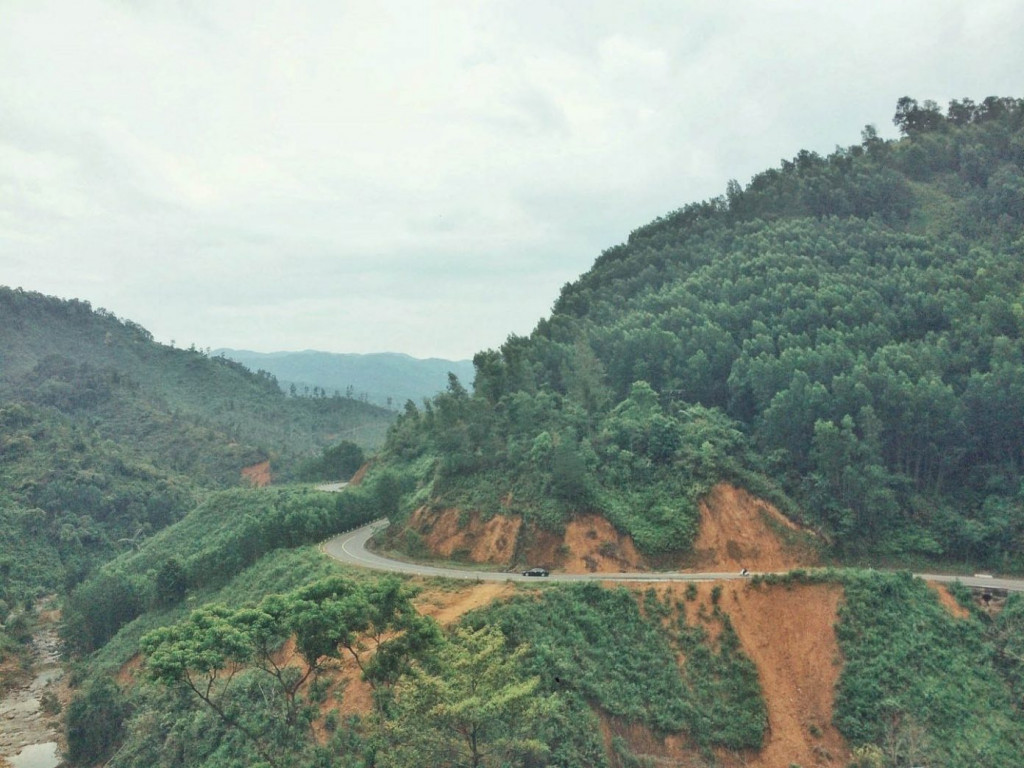 Ảnh: Trân Ơi