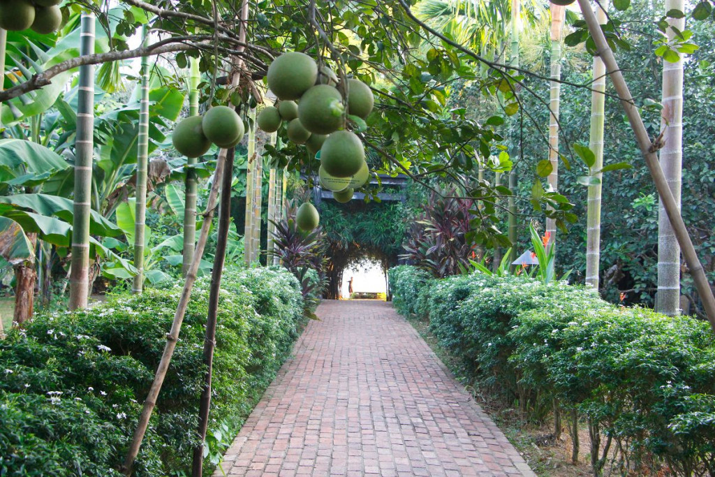 tour-hue-1n-ivivu-31