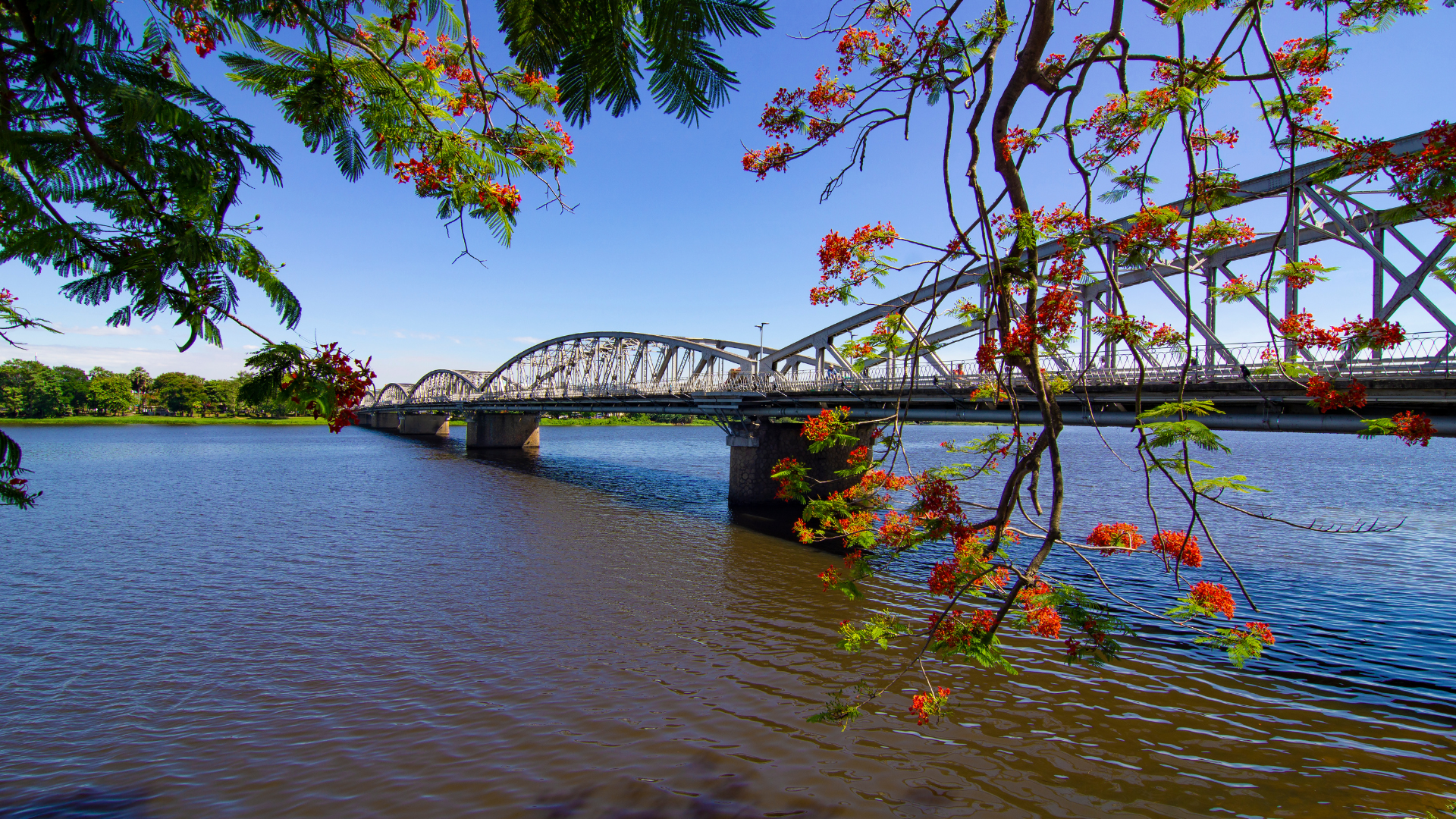 Mộng mơ xứ thân thương cùng tour Huế trong ngày hấp dẫn