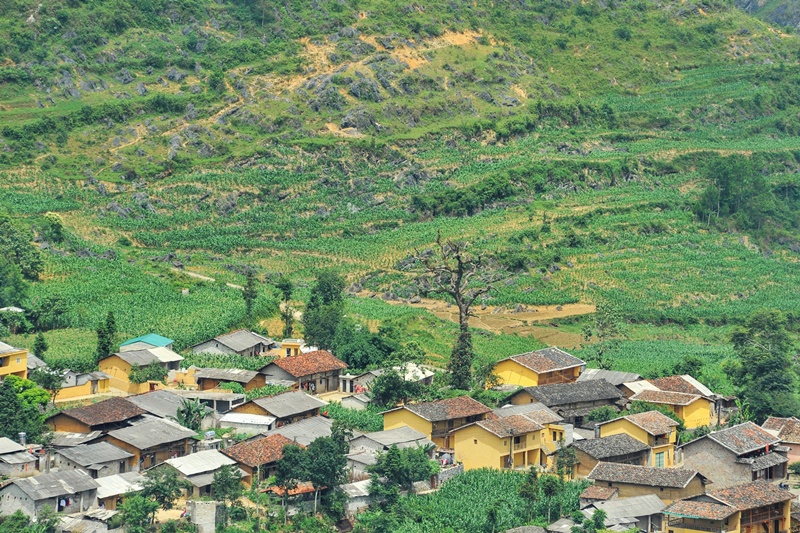 Cảnh quan Tây Bắc trong tour miền Bắc